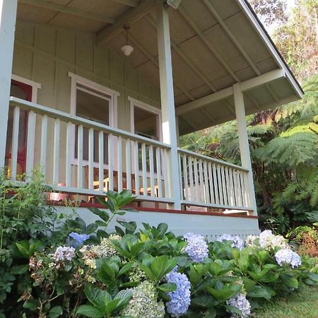Carson'S Kaloko Mountain Cabin Kailua-Kona Eksteriør bilde