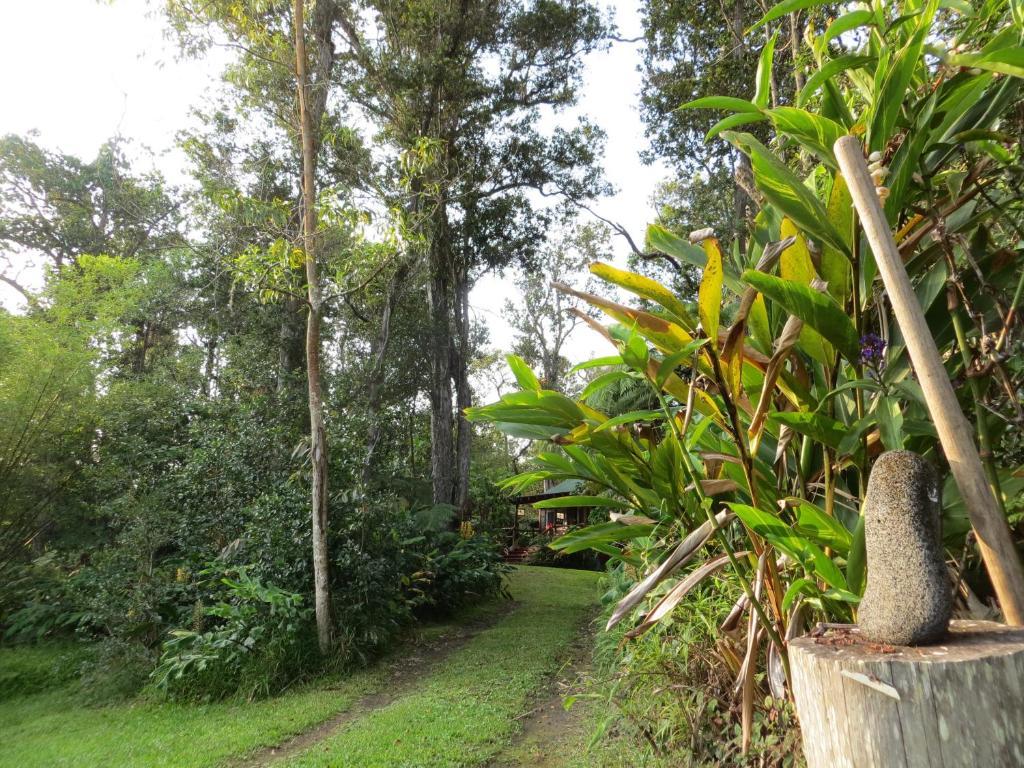 Carson'S Kaloko Mountain Cabin Kailua-Kona Eksteriør bilde