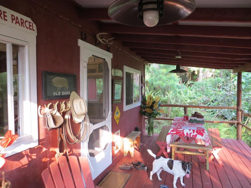 Carson'S Kaloko Mountain Cabin Kailua-Kona Rom bilde